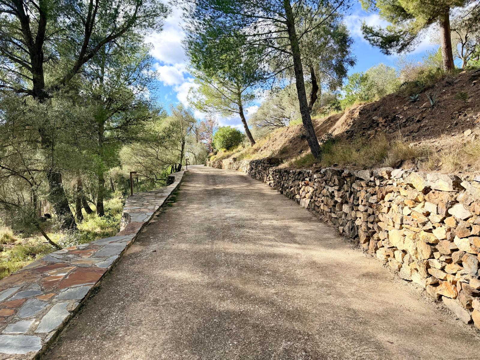 WhatsApp Image 2025-12-02 at 14.58.179